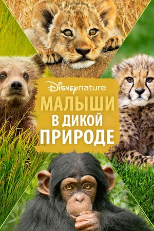 Постер к фильму Малыши в дикой природе (2015)