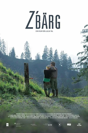 Постер к фильму z'Bärg (2015)