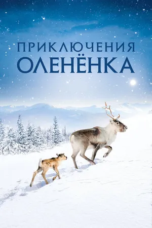 Постер к фильму Приключения олененка (2018)