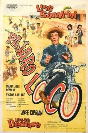 Постер к фильму Pájaro loco (1971)