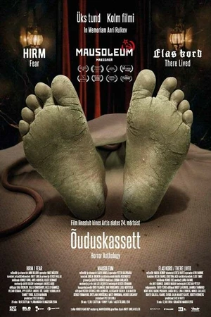 Постер к фильму Õuduskassett (2017)