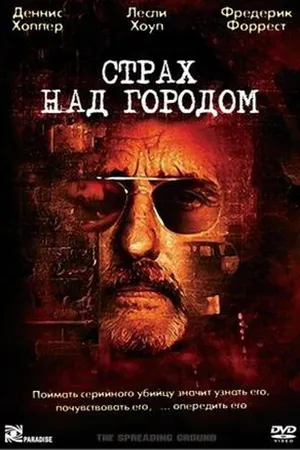 Постер к фильму Страх над городом (2000)