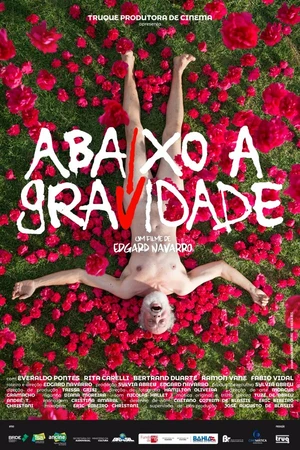 Постер к фильму Abaixo a Gravidade (2017)