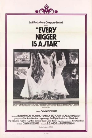 Постер к фильму Every Nigger Is a Star (1974)