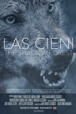 Постер к фильму Las cieni (2014)
