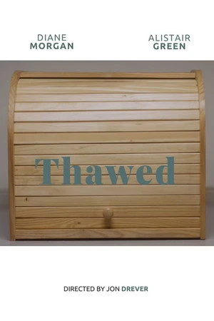 Постер к фильму Thawed (2018)