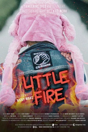 Постер к фильму Little Fire (2017)