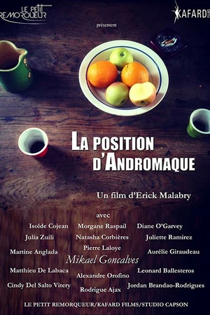 Постер к фильму La position d'Andromaque (2017)