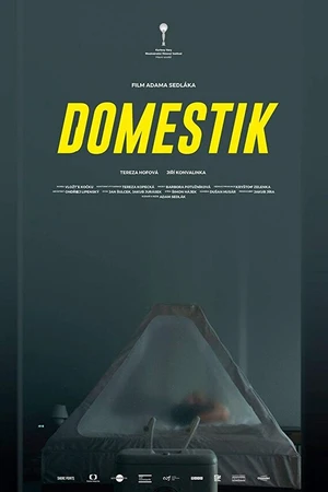 Постер к фильму Домашний режим (2018)
