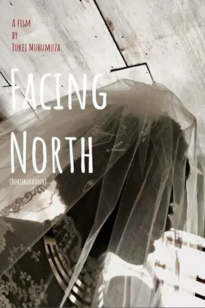 Постер к фильму Facing North (2018)