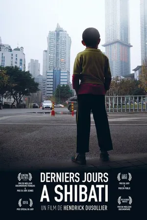 Постер к фильму Последние дни в Шибати (2017)