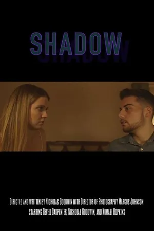 Постер к фильму Shadow (2018)