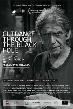 Постер к фильму Guidance through the Black Hole (2017)
