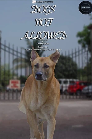 Постер к фильму Dogs Not Allowed: A Silent Movie (2017)