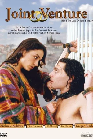 Постер к фильму Совместное предприятие (1994)