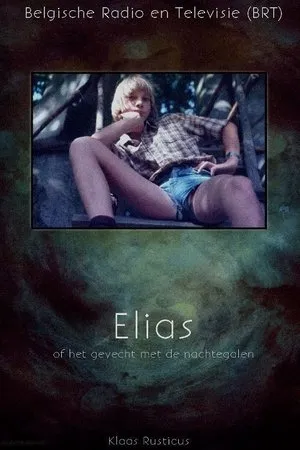 Постер к фильму Elias of het gevecht met de nachtegalen (1991)