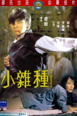 Постер к фильму Ничей сын (1973)