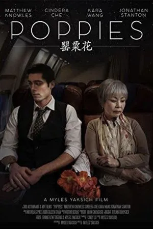 Постер к фильму Poppies (2018)