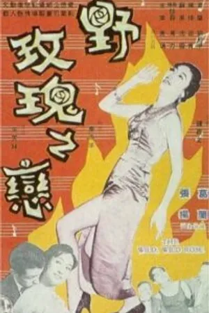 Постер к фильму Дикая, дикая роза (1960)