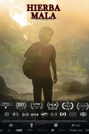 Постер к фильму Сорная трава (2019)