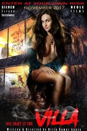 Постер к фильму One Night At Villa (2019)