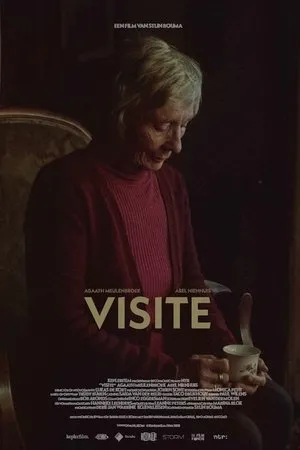 Постер к фильму Visite (2018)