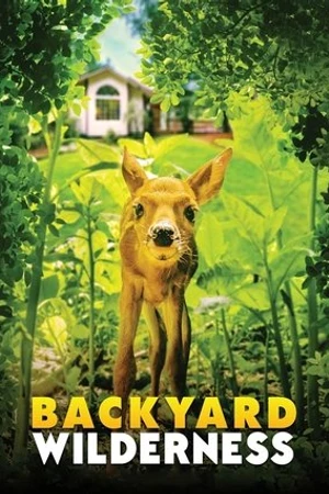 Постер к фильму Backyard Wilderness (2018)