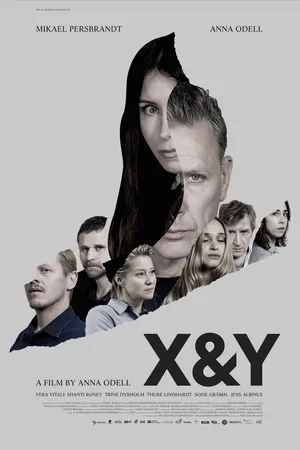 Постер к фильму X и Y (2018)