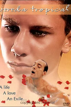 Постер к фильму Тропическая дорожка (2004)