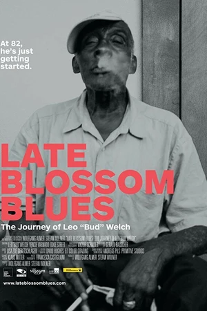 Постер к фильму Late Blossom Blues (2017)