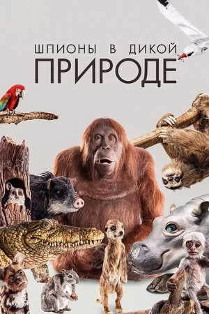 Постер к сериалу Шпионы в дикой природе (2017)