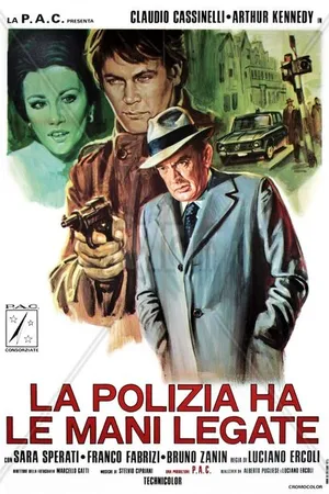 Постер к фильму Полиция в замешательстве (1975)