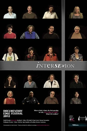 Постер к фильму Intersexion (2012)