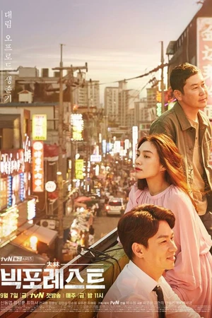 Постер к сериалу Большой лес (2018)