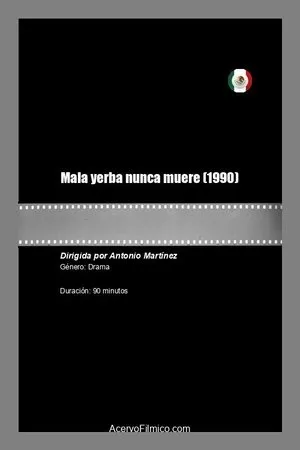 Постер к фильму Mala yerba nunca muere (1990)