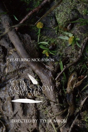 Постер к фильму What Comes From a Swamp (2017)