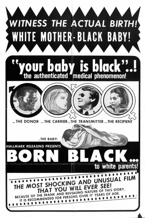 Постер к фильму Der verlogene Akt (1969)