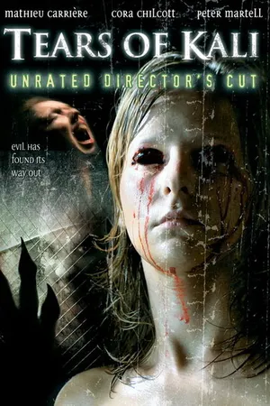Постер к фильму Слезы Кали (2004)