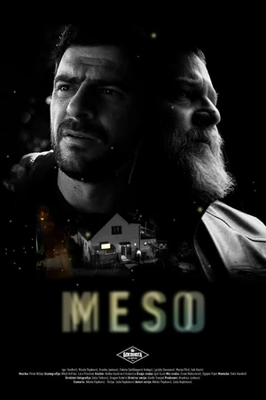 Постер к фильму Meso (2018)