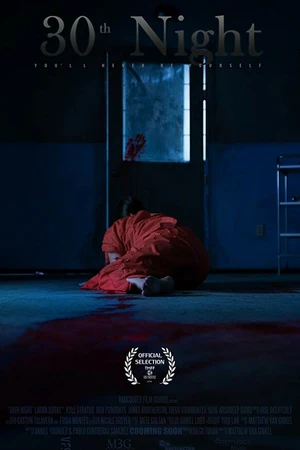Постер к фильму 30-я ночь (2018)