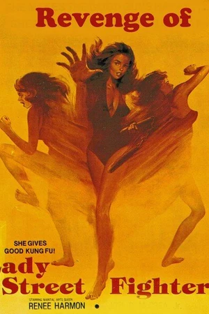 Постер к фильму Revenge of Lady Street Fighter (1990)