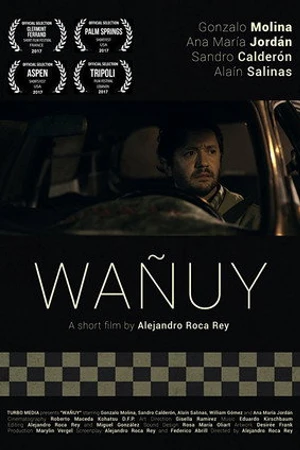 Постер к фильму Wañuy (2017)