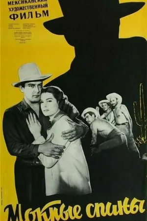 Постер к фильму Мокрые спины (1979)