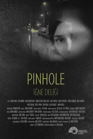 Постер к фильму Pinhole (2015)