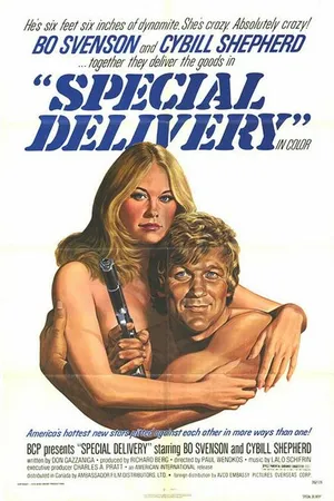 Постер к фильму Специальная доставка (1976)