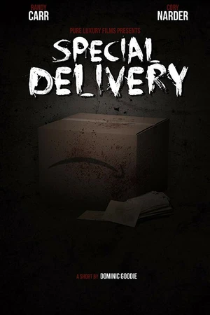 Постер к фильму Special Delivery (2016)