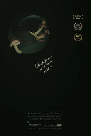 Постер к фильму Los pájaros no tienen vértigo (2017)