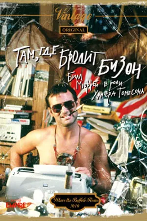 Постер к фильму Там, где бродит бизон (1980)