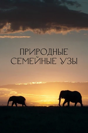 Постер к сериалу Природные семейные узы (2022)