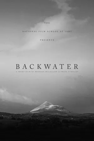Постер к фильму Backwater (2018)